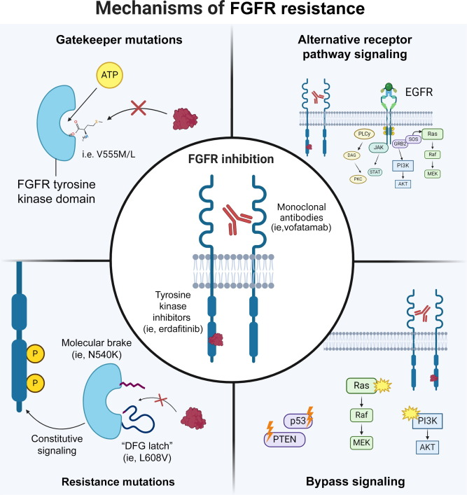 Roger Li tweet media