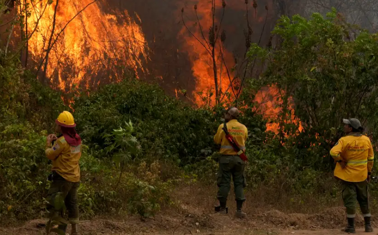 radiocentroec's tweet photo. Bolivia decretó "desastre nacional" por los incendios forestales. El departamento de Santa Cruz es el más castigado por los incendios y sufre el "mayor desastre ambiental" de su historia, según las autoridades regionales. https://t.co/9eY4QLFOel