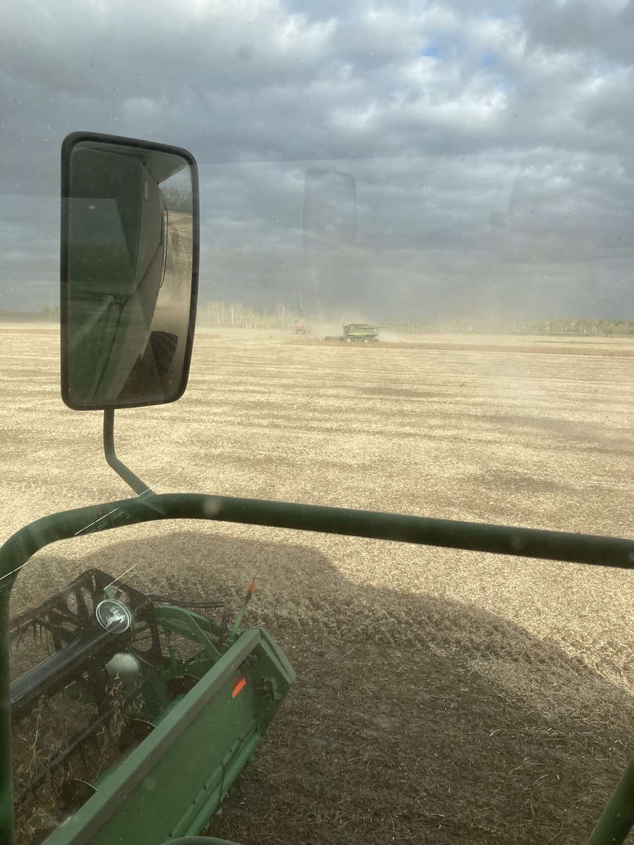 PDevloo's tweet image. For 4 yrs I’ve been custom harvesting this field and we’ve been rained out every yr. 2 passes left