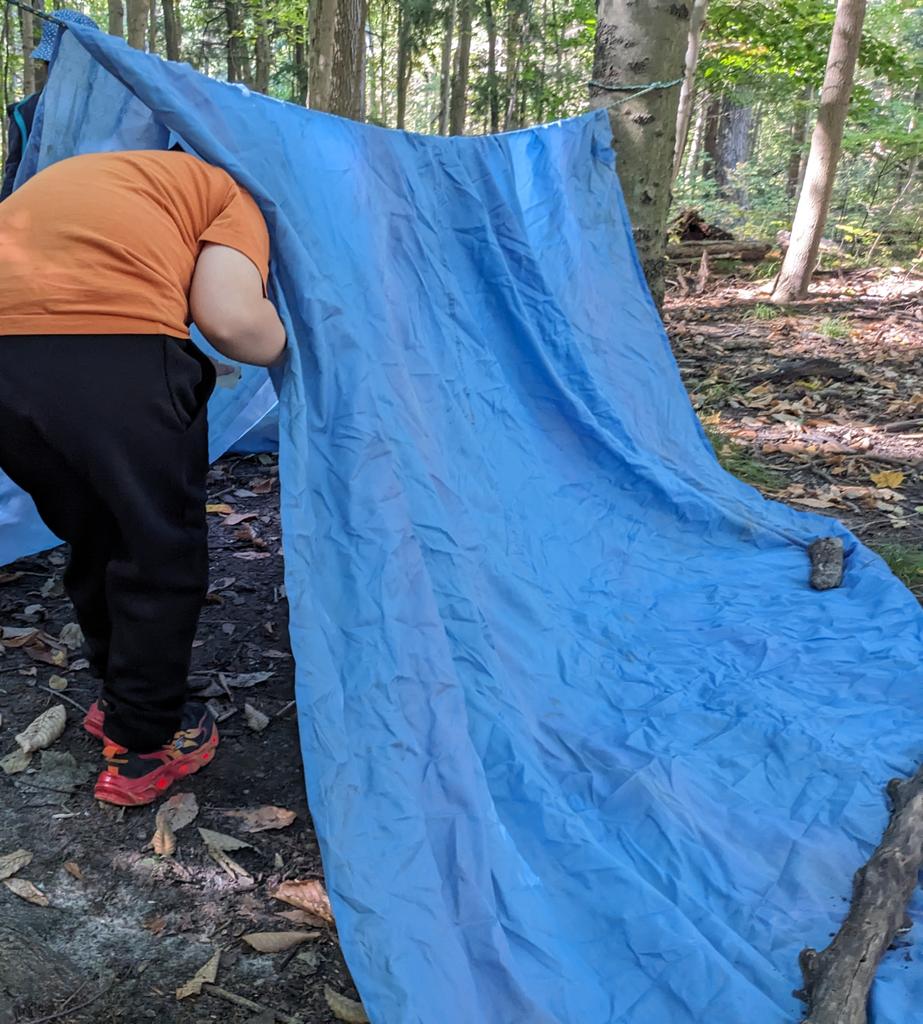 Forest Valley OEC (@forestvalleyoec) on Twitter photo Exploring how people meet their needs in this glorious FVOEC environment. Building shelters and setting traps requires lots of cooperation from #NorthAgincourt <a href="/TOES_TDSB/">TOES_TDSB</a> Exploring how people meet their needs in this glorious FVOEC environment. Building shelters and setting traps requires lots of cooperation from #NorthAgincourt <a href="/TOES_TDSB/">TOES_TDSB</a>