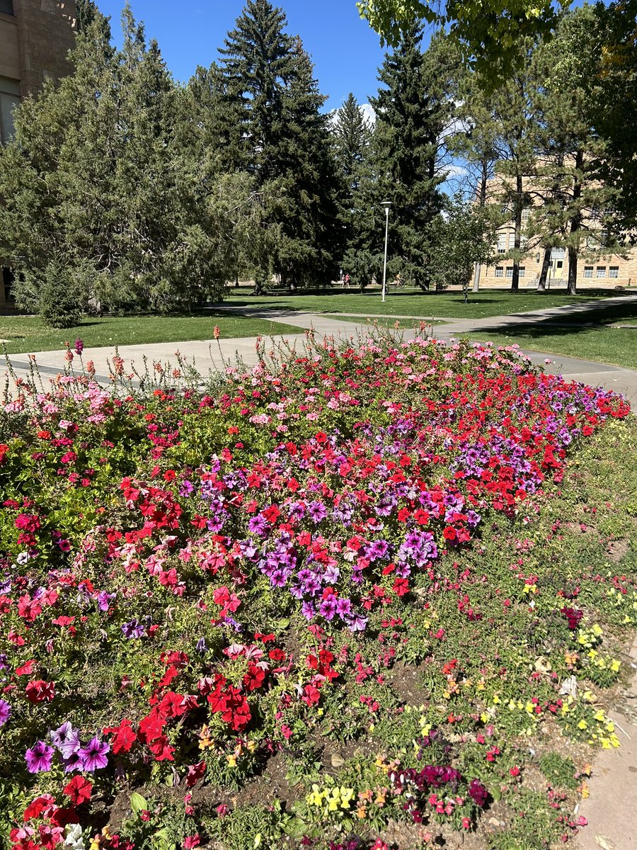 BabySlicck tweet media