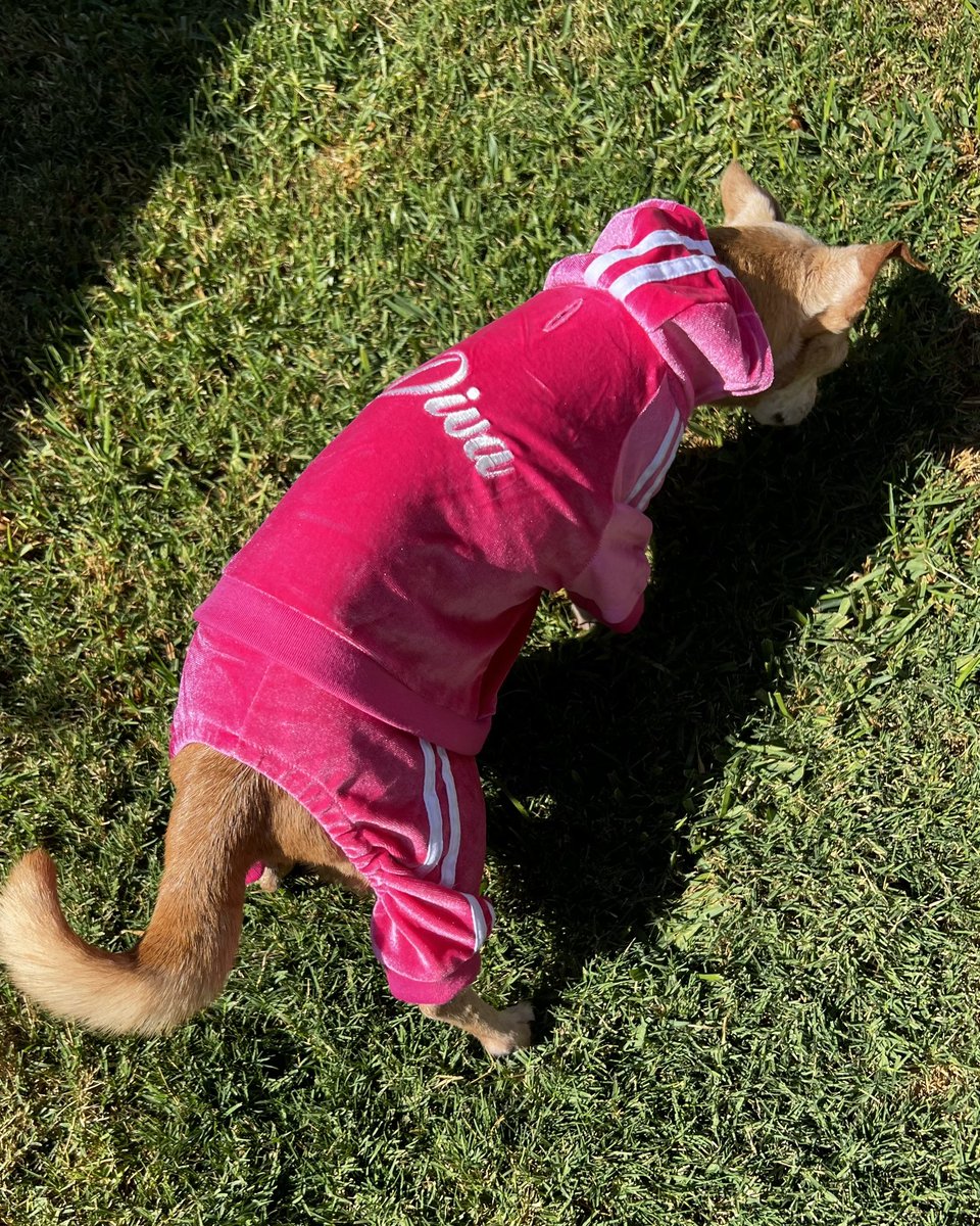 CAR0LINAREAPER_'s tweet photo. 𝓓𝓲𝓿𝓪 💅🏼🩷 https://t.co/n4XMJ8APS6