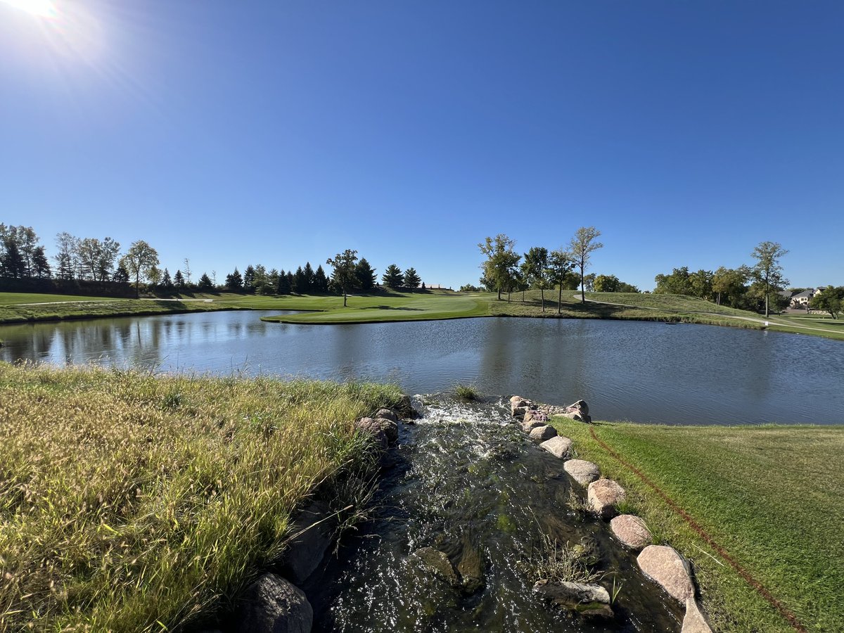 Bendelow Greens tweet media