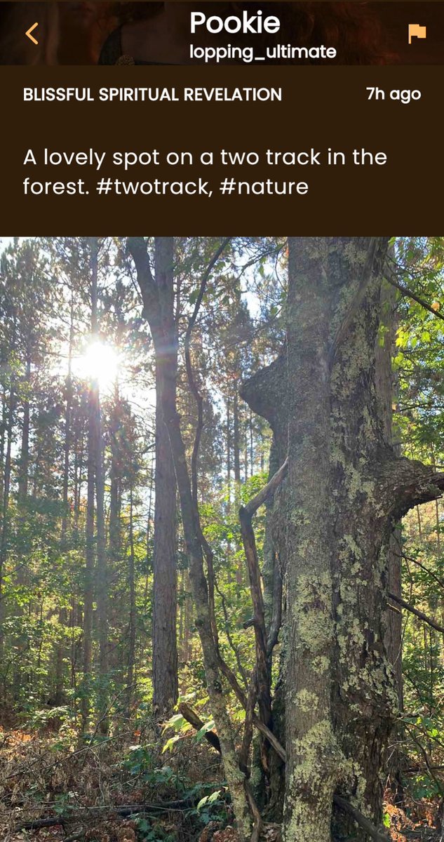 Randonautica knows all the best beauty spots. Just ask user Pookie. 

From our Discover Feed - the in-app social media network just for us Randonauts.