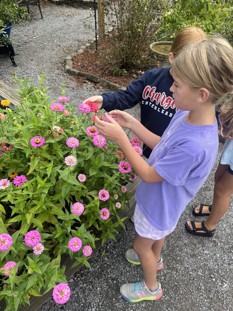Mitchell_EES's tweet photo. We had the best time learning about each part of our East garden this morning. The “Garden Golden Girls” were the best tour guides! 🪴🌸🌷 https://t.co/LDIwIsYDkn