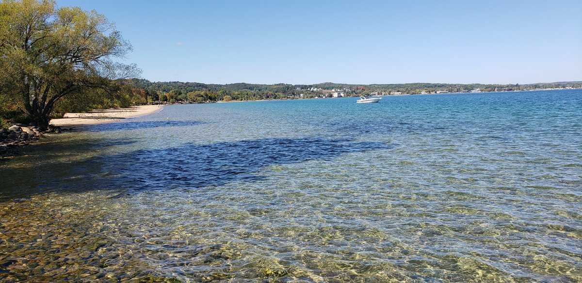 Mark_D_Zinu's tweet image. Ended up doing some mapping this afternoon in Downtown Traverse City while doing errands. Might even get an opportunity tomorrow as well. More available areas popped up when I arrived for work. Not mad about that at all!
#ZombieMob #MainnetZ #OverTheReality #OVR #CommunityFirst.