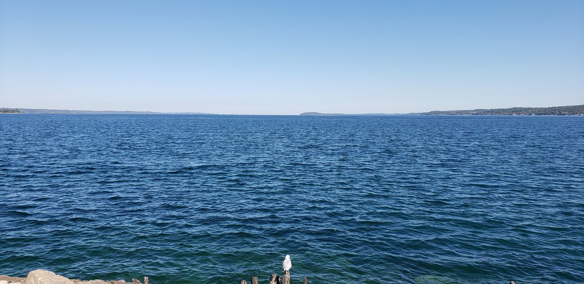 Mark_D_Zinu's tweet image. Ended up doing some mapping this afternoon in Downtown Traverse City while doing errands. Might even get an opportunity tomorrow as well. More available areas popped up when I arrived for work. Not mad about that at all!
#ZombieMob #MainnetZ #OverTheReality #OVR #CommunityFirst.