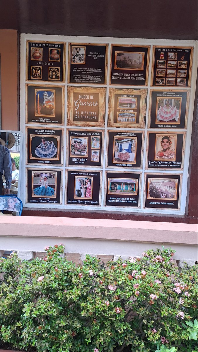 Alexandra Miranda tweet media