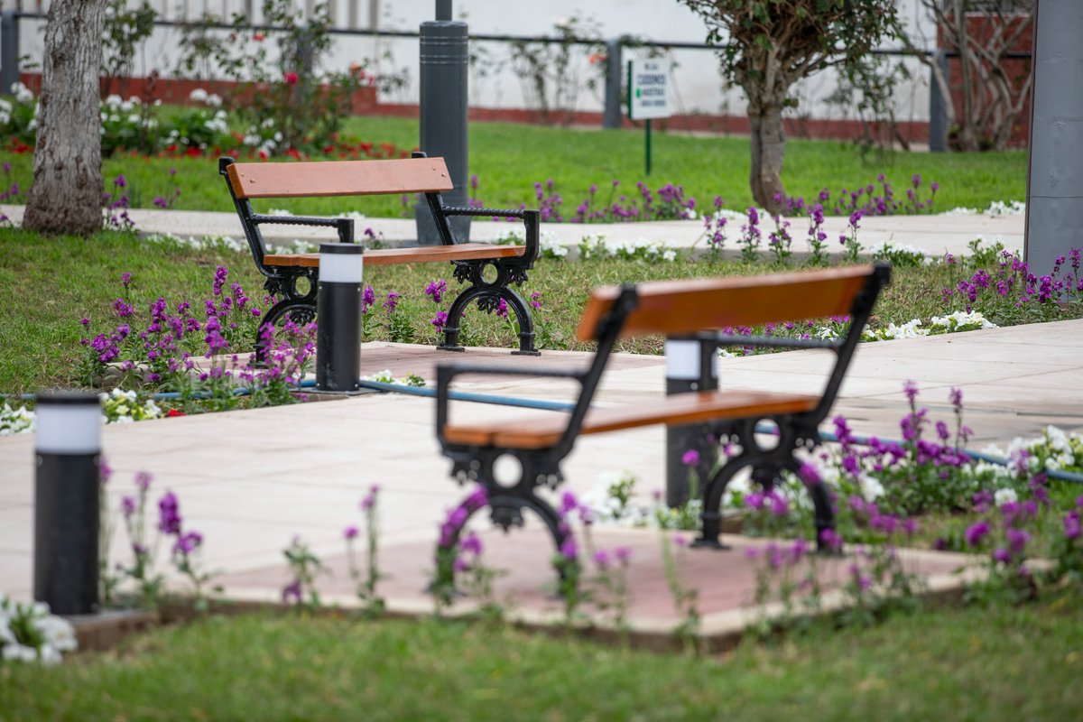 MuniLima's tweet photo. ¡#Transformamos el parque César Vallejo! 🌳🤩 Rehabilitamos +500 m2 de grass, sembramos 2500 plantas, instalamos bancas, postes ornamentales, iluminamos, señalizamos y eliminamos grafitis en el #CercadoDeLima. 🌿
¡Síguenos para más renovaciones! #LimaRenovada #EspaciosVerdes https://t.co/KVXnd3W398