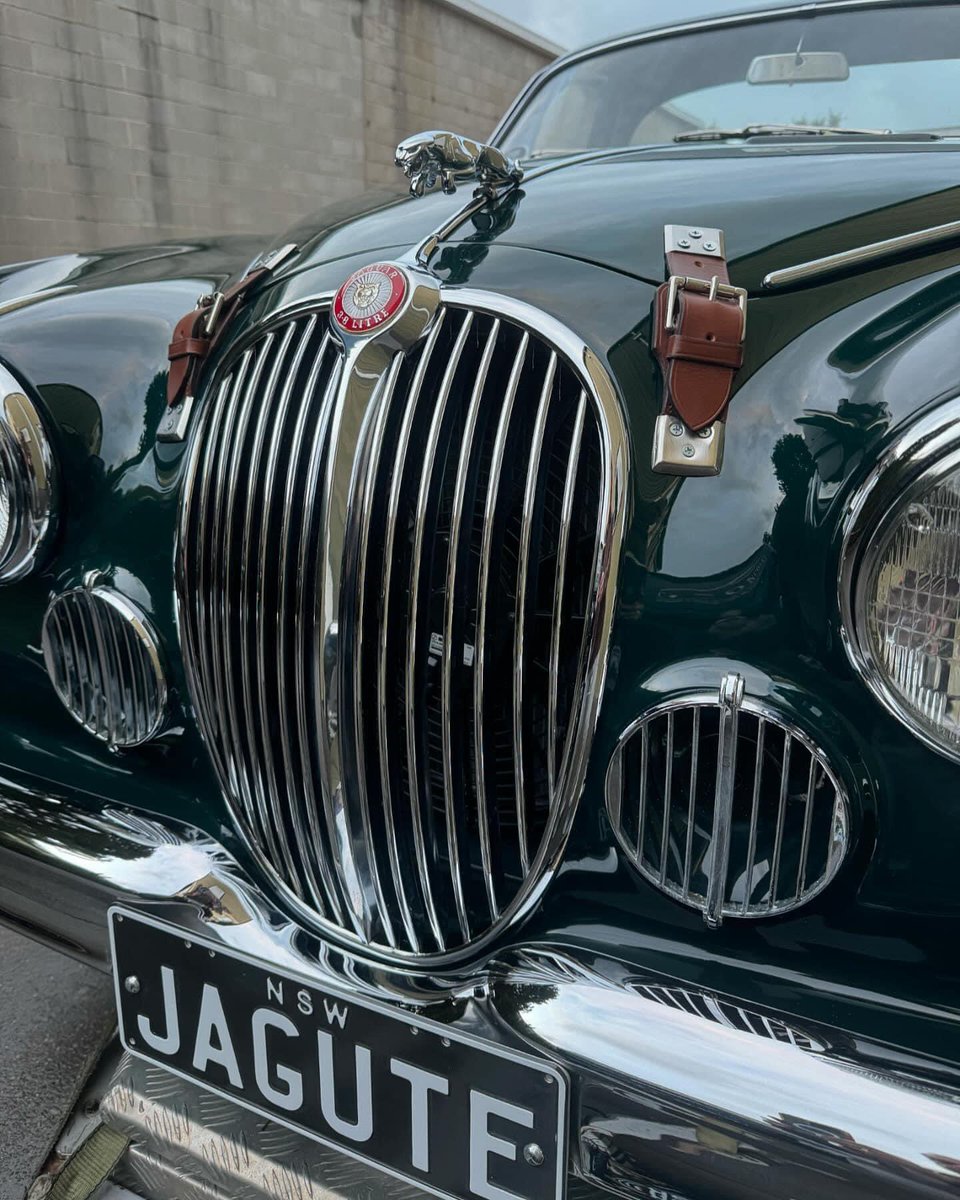 Jaguar Art