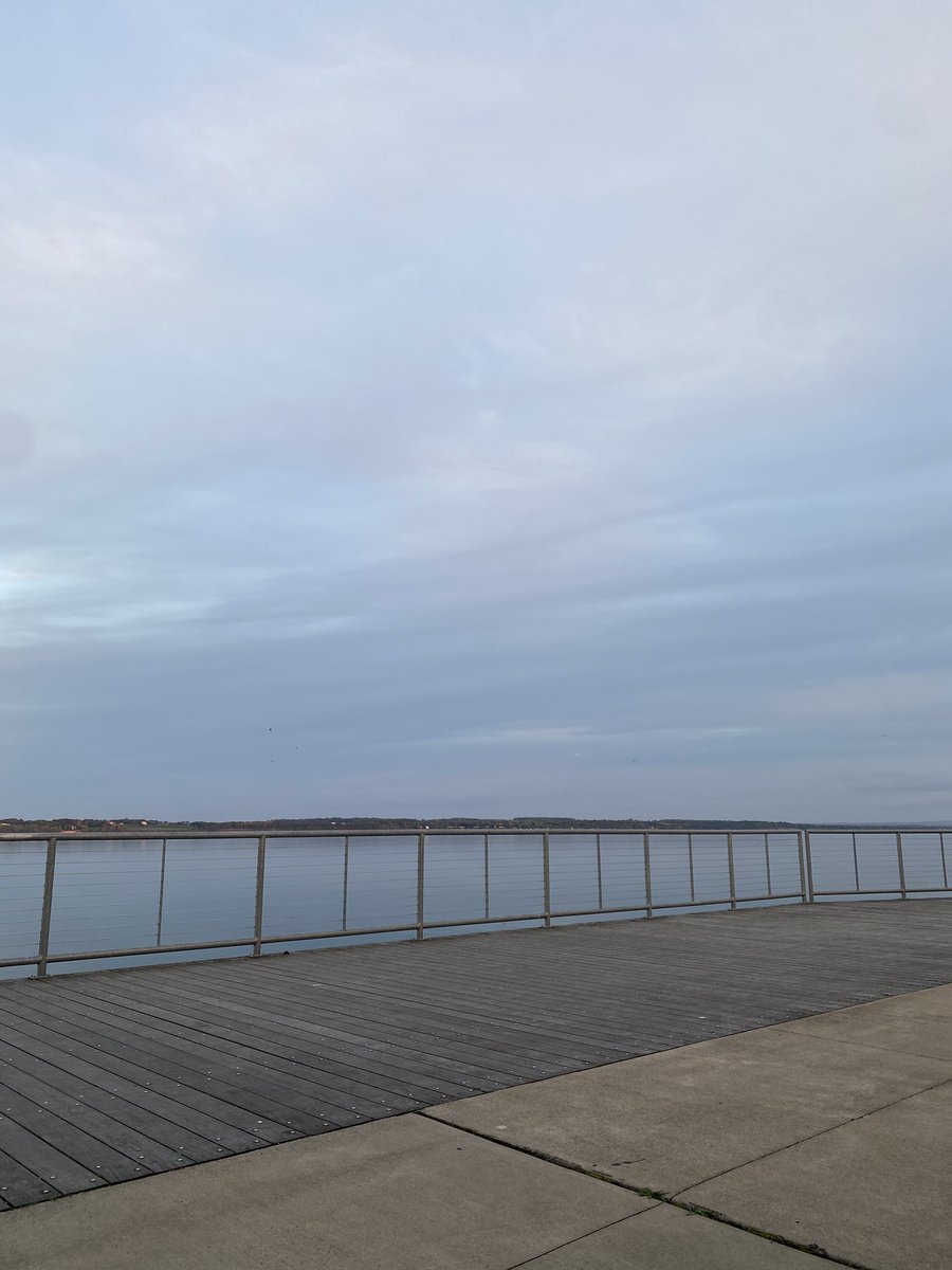 Lisa Meade tweet media