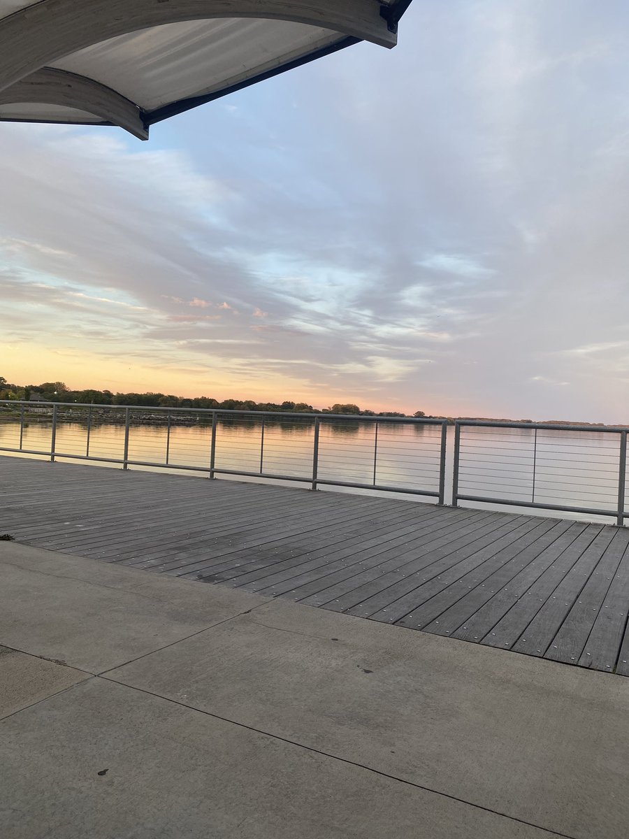 Lisa Meade tweet media