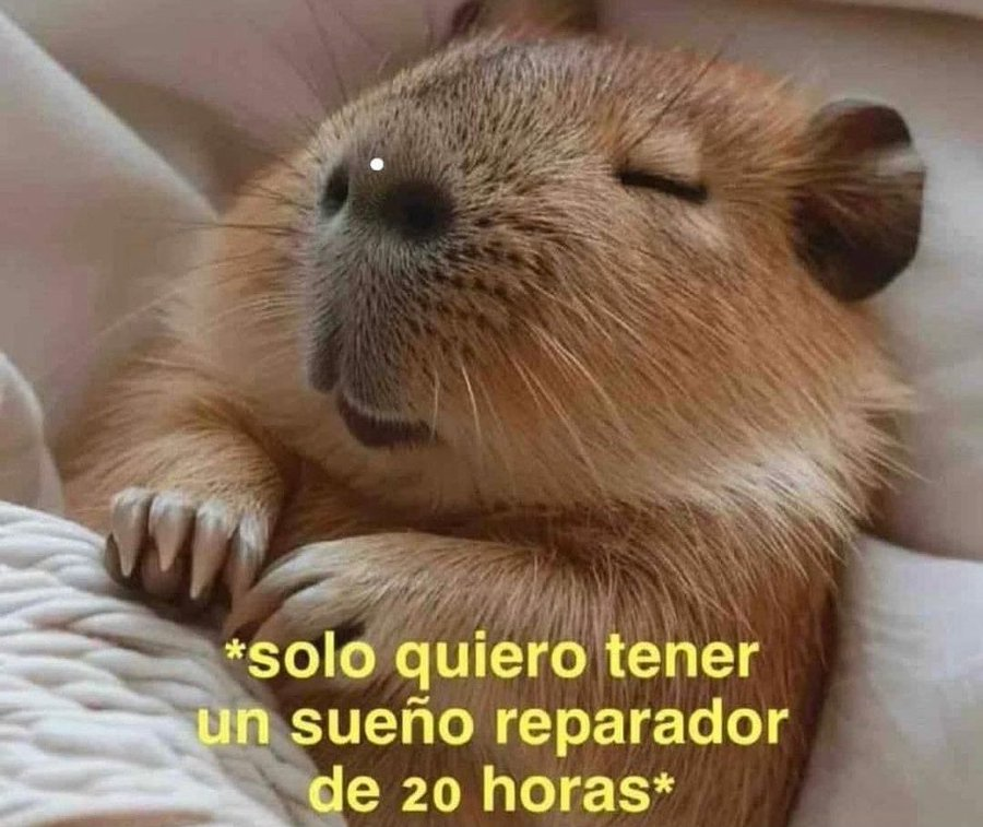 SomosSarcasmo's tweet photo. https://t.co/TqZGPO7Frv