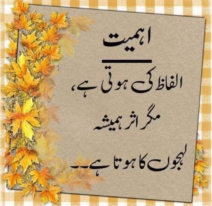 scorpio♏#DJ 🧓🏻 tweet media