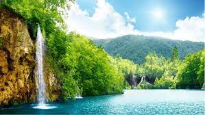 irem ülker tweet media