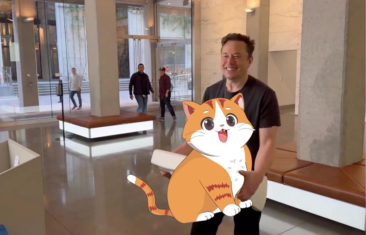 fufocat's tweet photo. low cap
based devs
active community
LET THAT SINK IN 🔥
#fufo #fufocat #fufocatdotcom https://t.co/F3OFOV3vKp