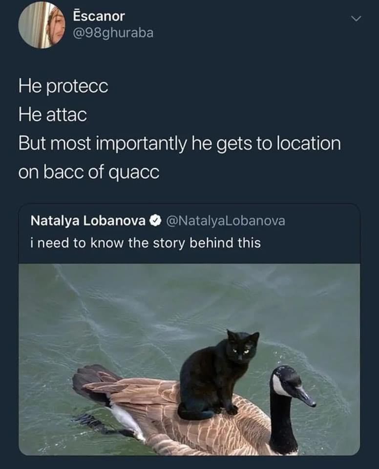 place where car shouldnt be (@carshouldnt) on Twitter photo 