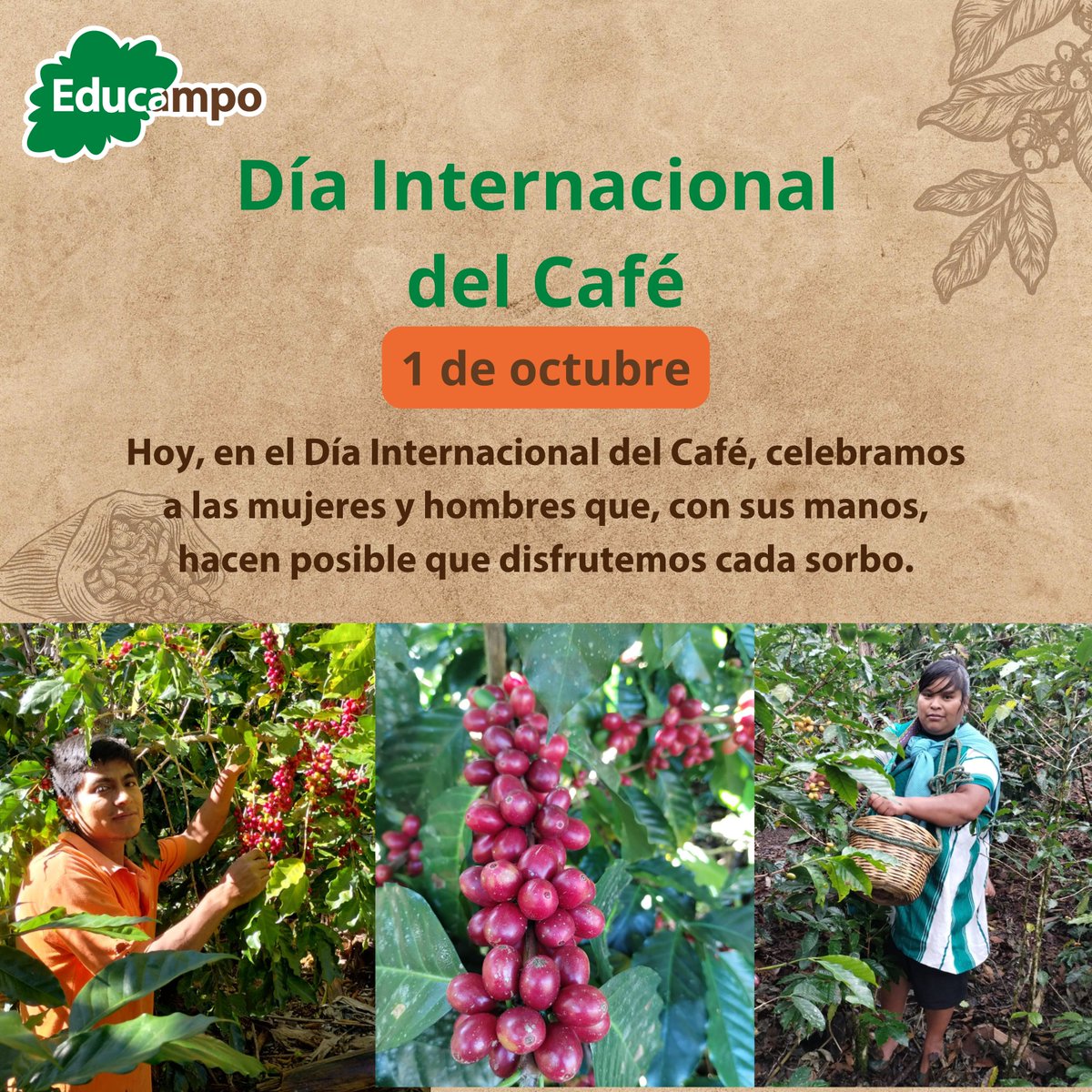 Cada grano de café es un paso hacia un futuro más sostenible 🌱☕. 

Hoy, #DíaInternacionalDelCafé, celebramos a las productoras cafetaleras que con su esfuerzo nos brindan lo mejor de la tierra. 

#TerritoriosCafetaleros #Educampo