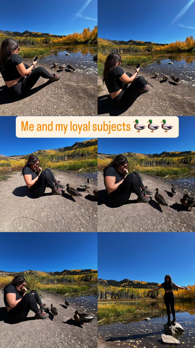 BodkinIsABoss's tweet image. How is your Monday going? 

I spent an entire hike nervous about moose when it was really the ducks I should have kept my eye on 😂

#QuackQuack #LifeElevated #beaUTAHful