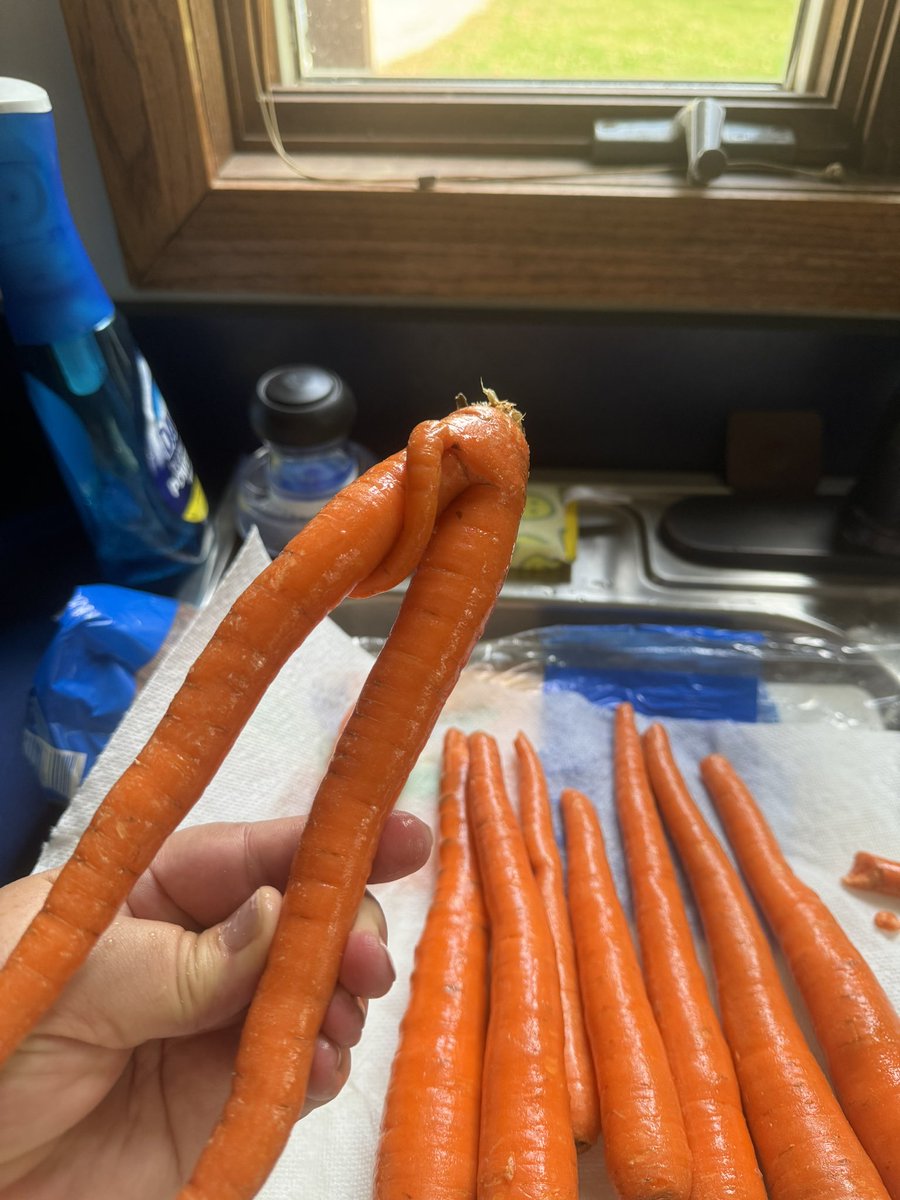 avvharris's tweet photo. @AldiUSA what’s going on in the Aldi gardens? https://t.co/2394iWVCRQ