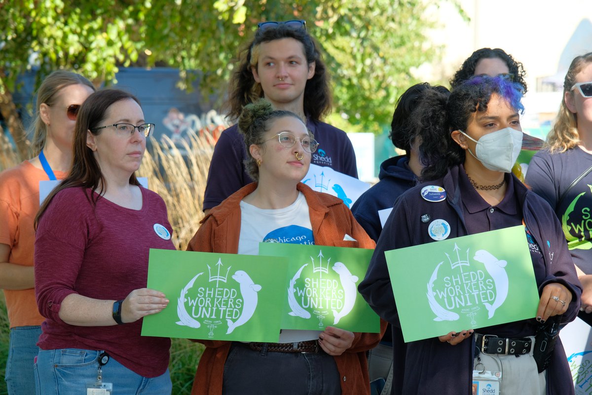 AFSCME Council 31 tweet media