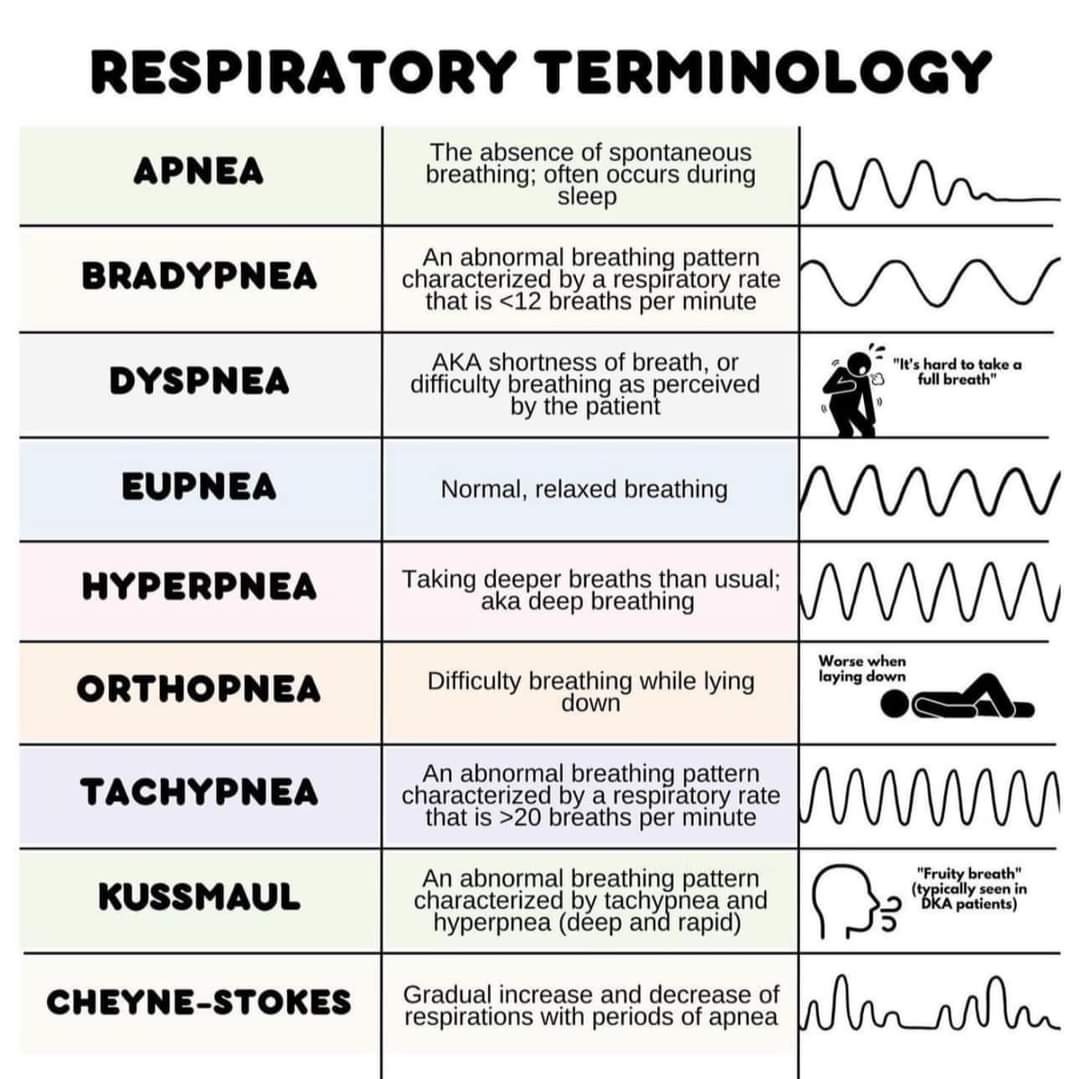 Nurses_Prof's tweet photo. Understanding Respiratory Terminology https://t.co/Qg0i81sNiP