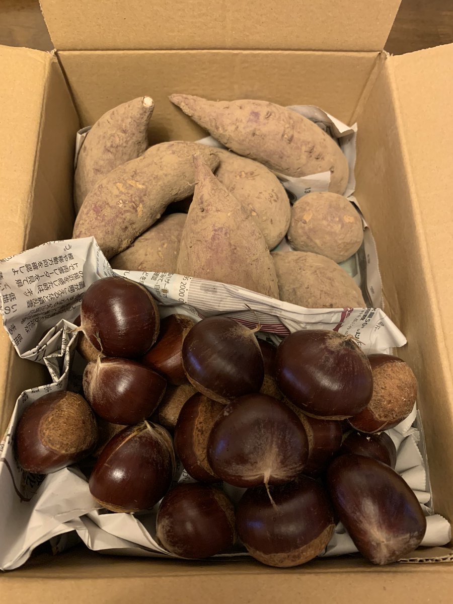 lympha33's tweet photo. @kami_nukenai さんのさつまいも🍠と栗🌰が届きました！
どちらもエネルギー満点な感じで、待ちきれずに早速栗ご飯にしていただきました❗️
こんなにしっかりと大きく、栗のホクホクとした味わいの栗ご飯は、有名店でも食べれない❗️食べたことのない美味しさでした✨朝から幸せ〜😋🍀✨🌰🍠 https://t.co/Ljf0d3kALu