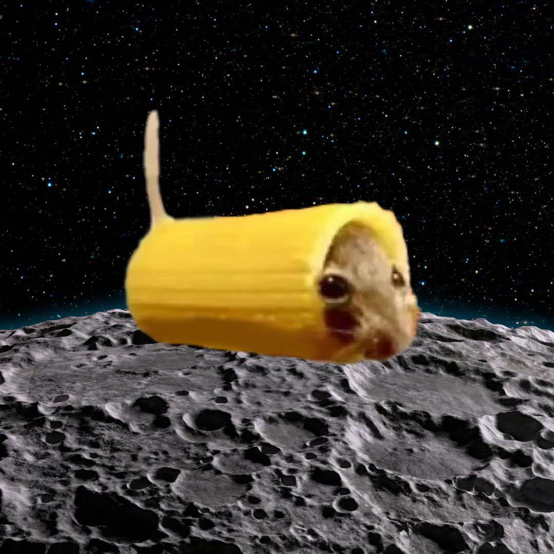 All stuck together 🐭🍝