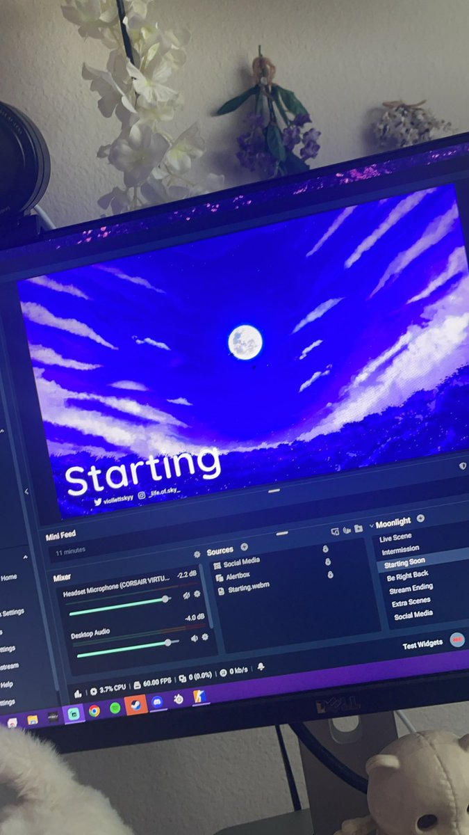 viollettskyy's tweet image. come say hi :) cozy monday stream twitch.tv/violetskyttv