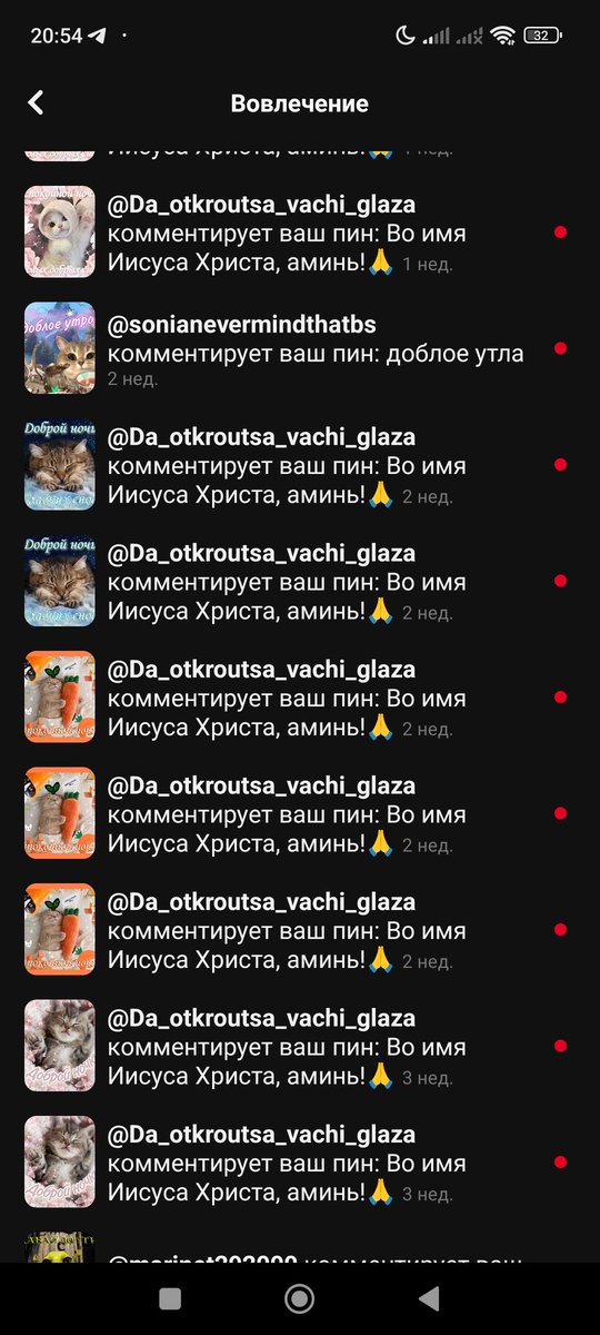 gorobchuk92's tweet photo. Кста, в Пинтересте есть тётя которая богословит всех моих кошек! Аминь! https://t.co/Zpeim5mg24