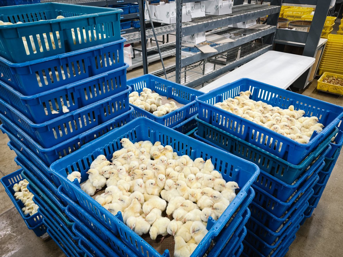 Eric Smidt tweet media