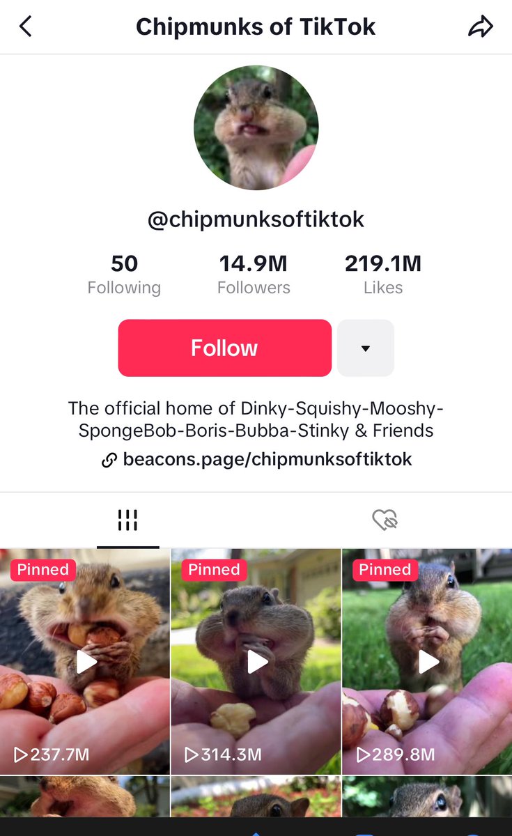 <a href="/farokh/">Farokh</a> Only one way to celebrate. Cop some $chips normies are coming. Uptober time