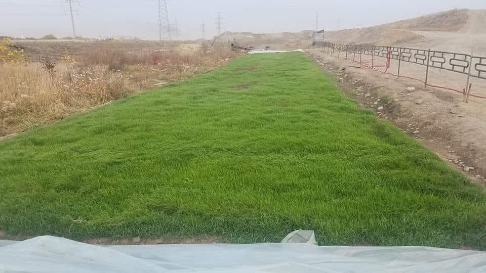 Хотын тоосжилтын багагүй хэсэг станцын үнсэн сангаас дэгддэг. БХБЯ, БОАЖЯ, НБОГ-ын хамтарсан төлөвлөгөөний дагуу цэвэрлэх байгууламжийн лагаас гарган авсан бордоог ашиглан үнсэн дээр зүлэгжүүлэлт хийж туршсан нь амжилттай ургаж байж. Хаягдал бүрд ашиглалт #circulareconomy