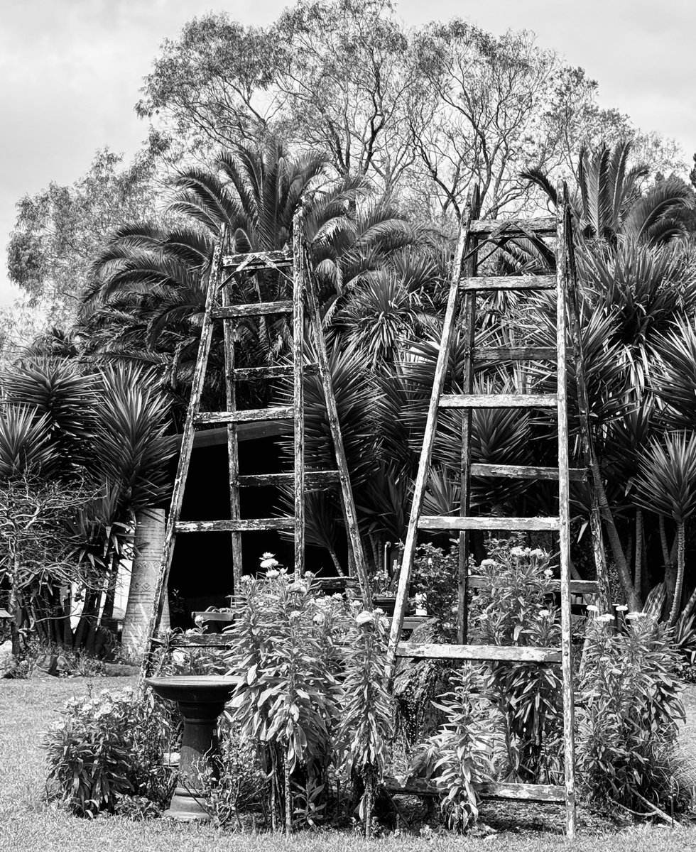 ana_couper's tweet image. My #Garden one of them. #gardenideas #gardens #GardeningTwitter Old things new life.