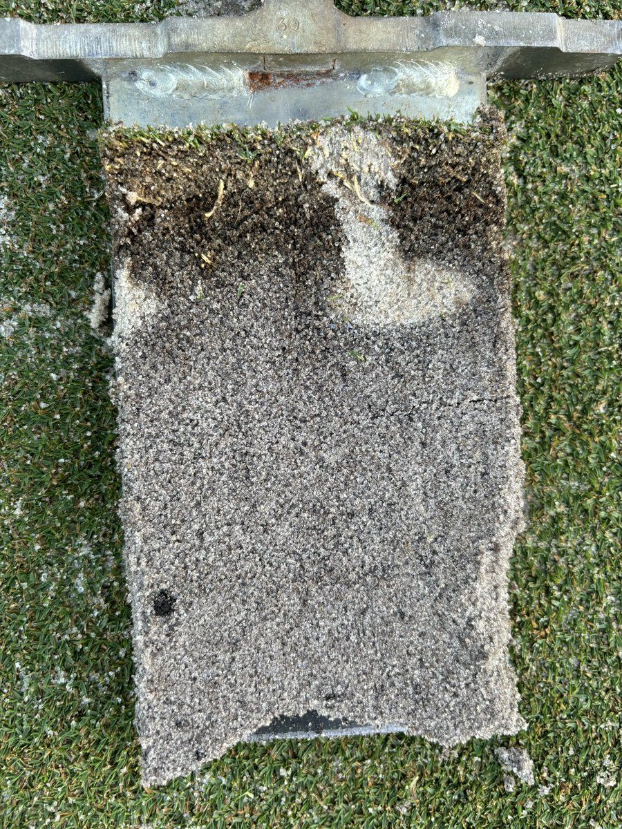 Alexander Bova tweet media