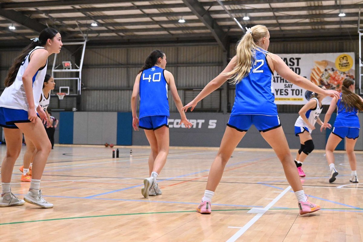 💙🤍 2024 BNSW DLEAGUE🤍💙