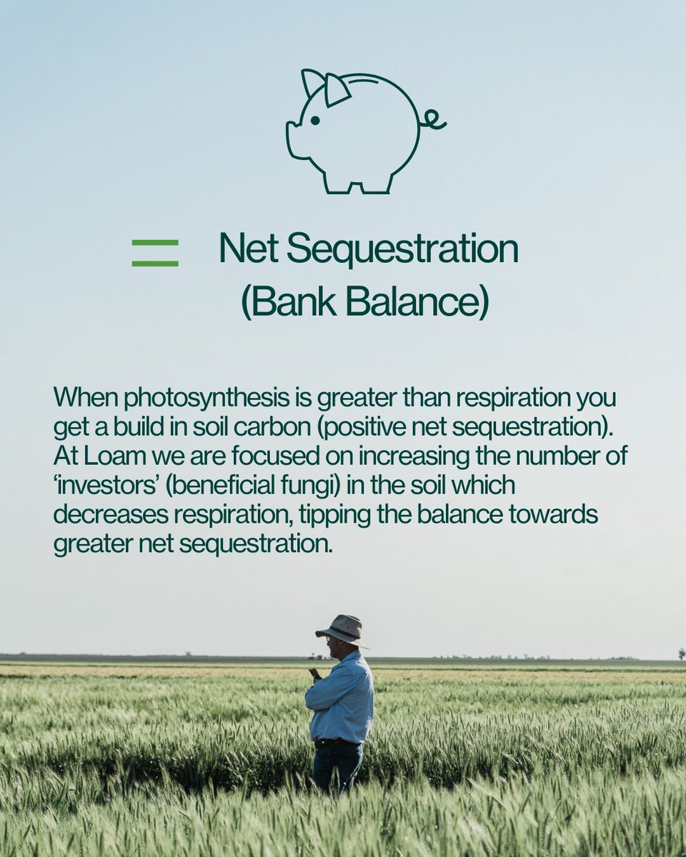 Curious to learn how soil carbon is built? 🌱 Let's break down this complex process with a simple analogy that'll make you see carbon in a whole new light! 💡
