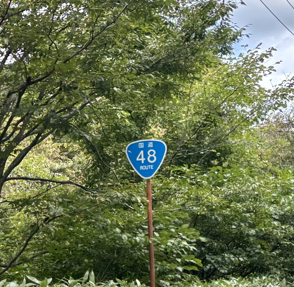 kumi_sasaki_908's tweet image. ねこたちと秋色ツーリズモ

#ふたごうさぎのご近所ツーリズモ
#ふたうさ
#LABIT