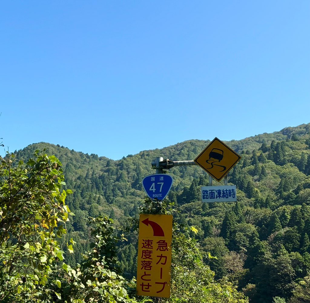 kumi_sasaki_908's tweet image. ねこたちと秋色ツーリズモ

#ふたごうさぎのご近所ツーリズモ
#ふたうさ
#LABIT