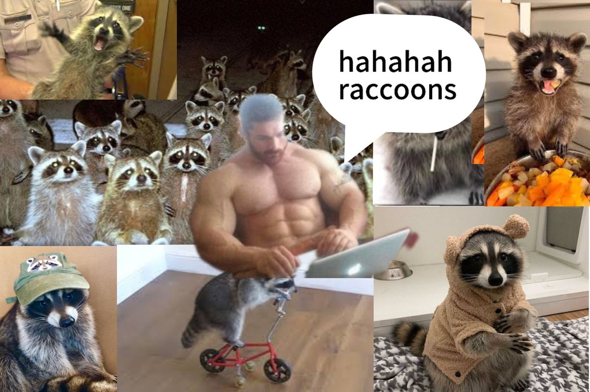raccoonesthetic's tweet photo. hahaha https://t.co/rQq6T6REG2