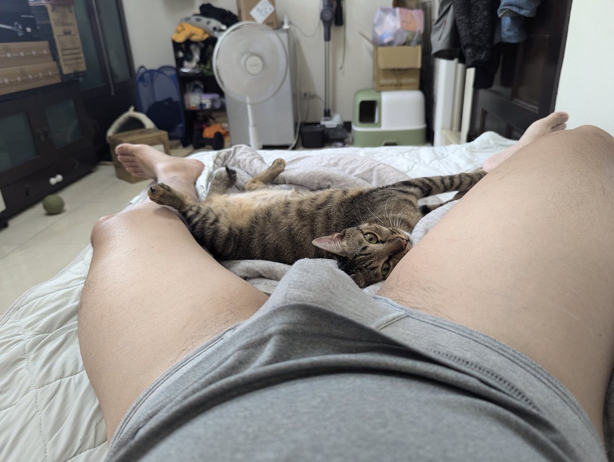 要一起睡嗎🐈

#颱風假