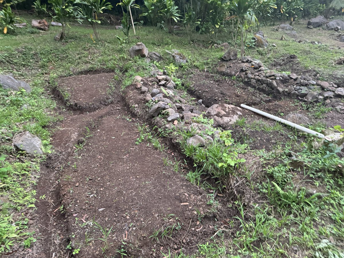 Keoni_DiFranco's tweet photo. 7 more loʻi kalo patches to be planted in the next month. There are 100s of terraces mauka from this site. A year in, we are bringing 100s of students &amp; volunteers in a month to kōkua this effort. This is with $0 in grant funding. This is community rooted #landback. https://t.co/ZICSuChMlF