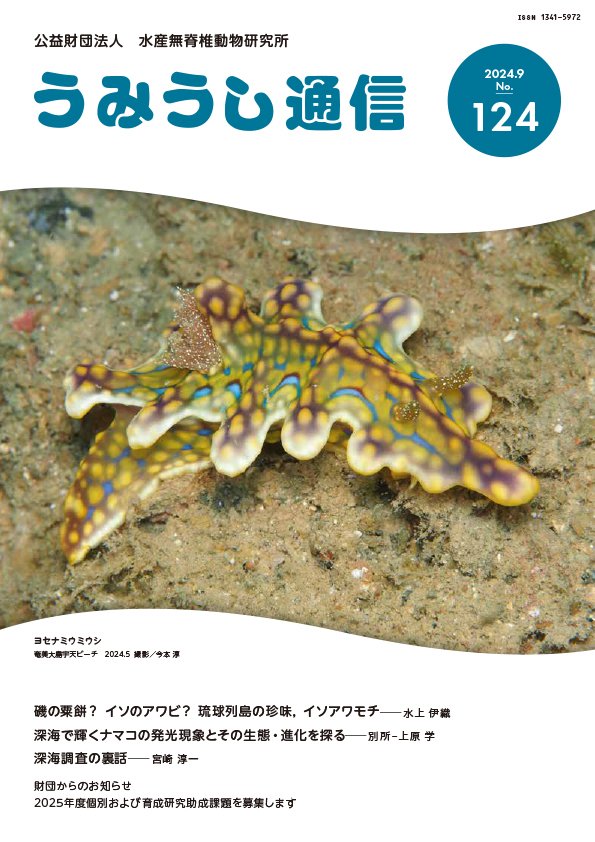 Mizukamiing's tweet photo. つい先日刊行されました、うみうし通信No.124に琉球列島の食用イソアワモチ文化について執筆させてもらってます🙂‍↕️初めての日本語での記事な上、載せたいデータが多すぎて色々と詰め込んだ内容になってしまいましたが(ご厚意により1ページ多くいただきました)、ご興味ある方気軽にお声がけ下さい~！ https://t.co/2B4RqFCnaI