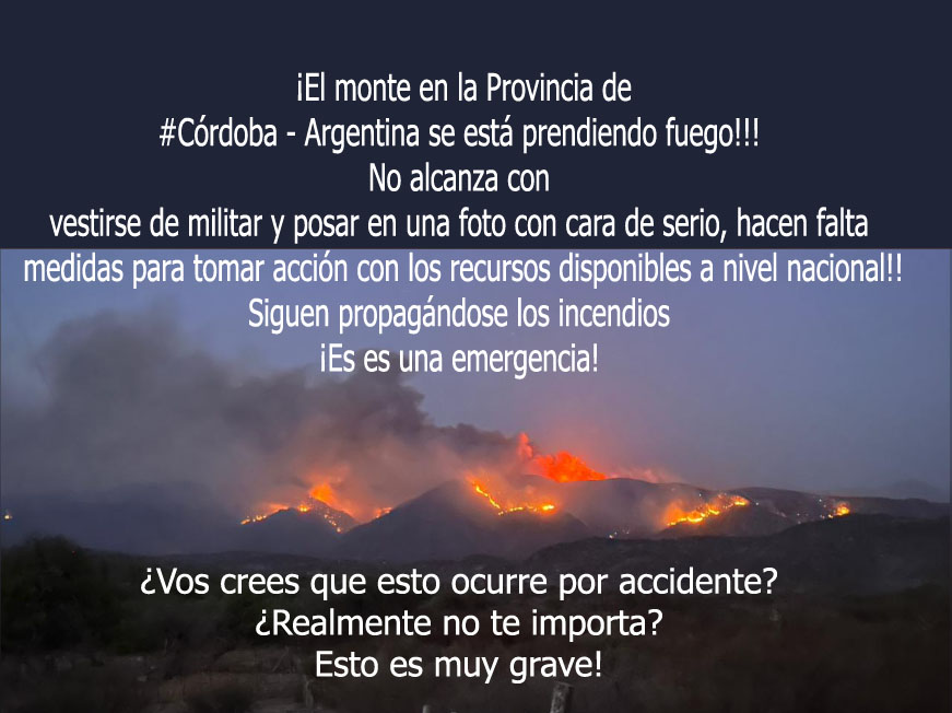 ¡El monte en la Provincia de #Córdoba - #Argentina se está prendiendo fuego!!
¡Es una emergencia!

¿Vos crees que esto ocurre por accidente?
¿Realmente no te importa?
Esto es muy grave!!

#Cordoba #Indendios #EmergenciaNacional #Argentina