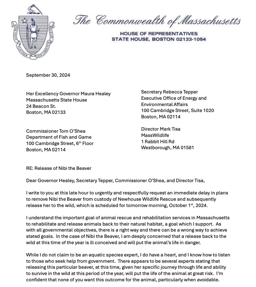 MarcTLombardo's tweet photo. Tonight I’m asking @MassGovernor @maura_healey to step in and help Nibi the Beaver #SaveNibi @NewhouseRescue #mapoli https://t.co/69gnfEmP0f
