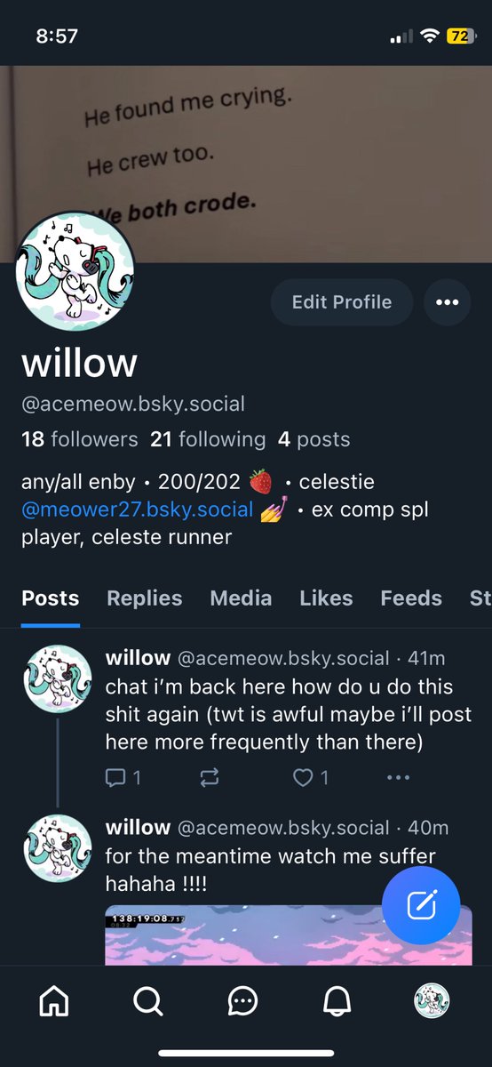acemeow_spl's tweet photo. reviving my fuckass bluesky acc maybe i’ll be here more than twt (tho irl making it rlly hard) tho its still better than this shitshow follow me if u want https://t.co/xIiCjOAe5a
