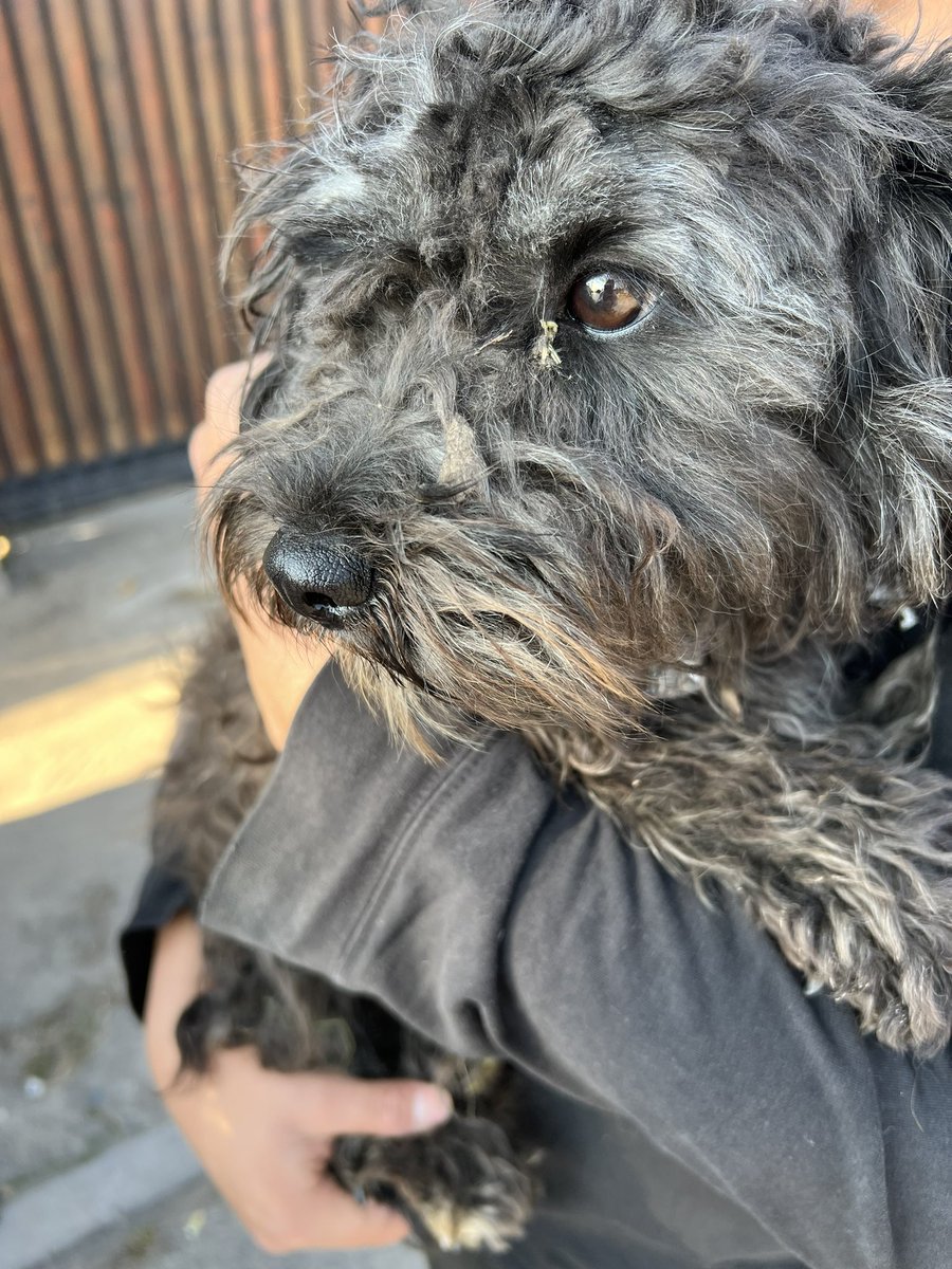 Jαvierα 🐶🤍🌱 tweet media