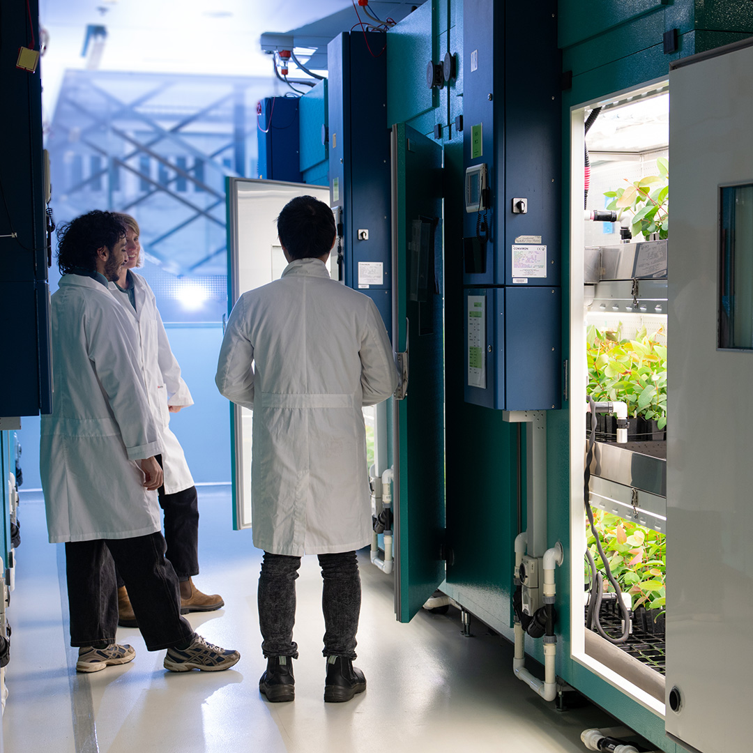 Enhance your plant science. APPN Postgraduate Internship Awards offer Aus Uni HDR students $10k of access to world-leading plant phenomics infrastructure plus career expertise and opportunities. Read more here: wp.me/p9rQoW-5Na #NCRISimpact