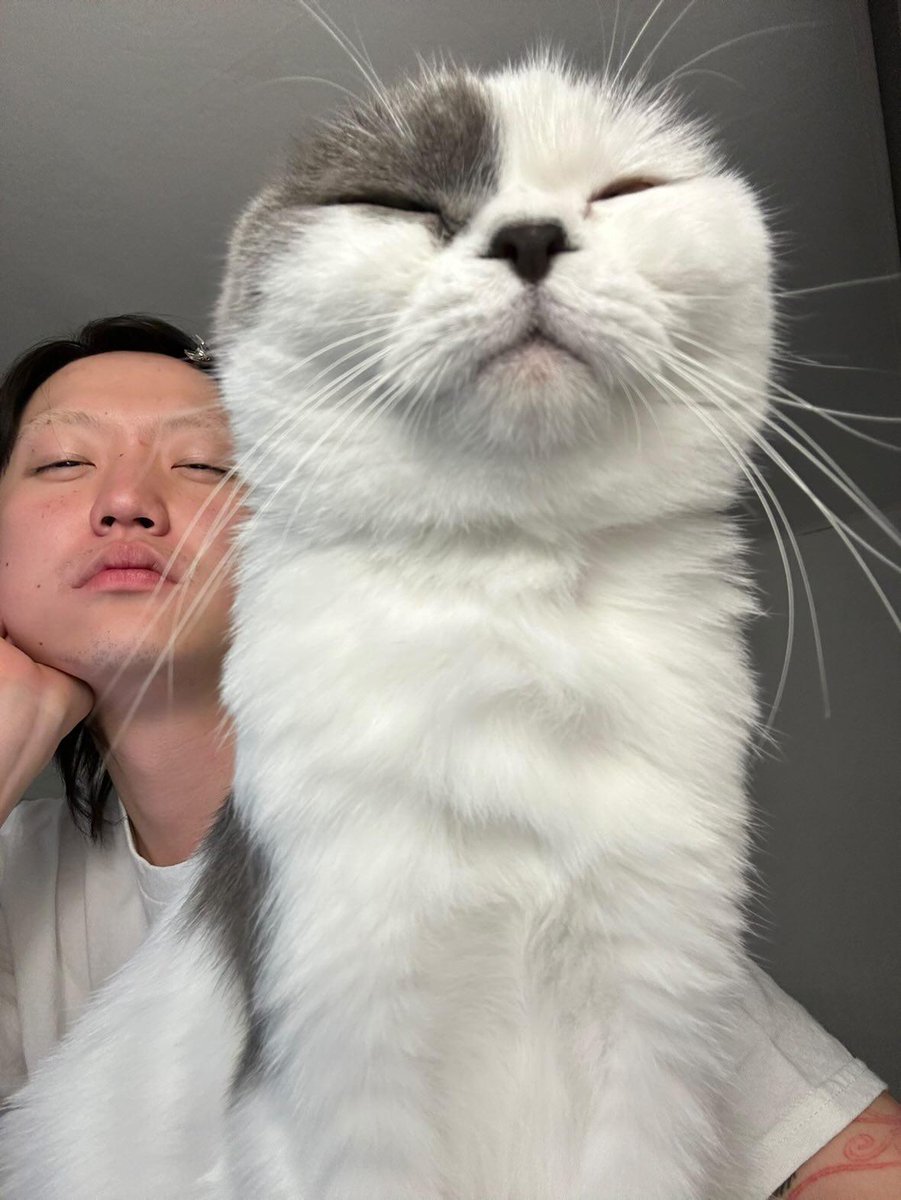 소바 표정 따라하는 기만주는 너무 사기다
...