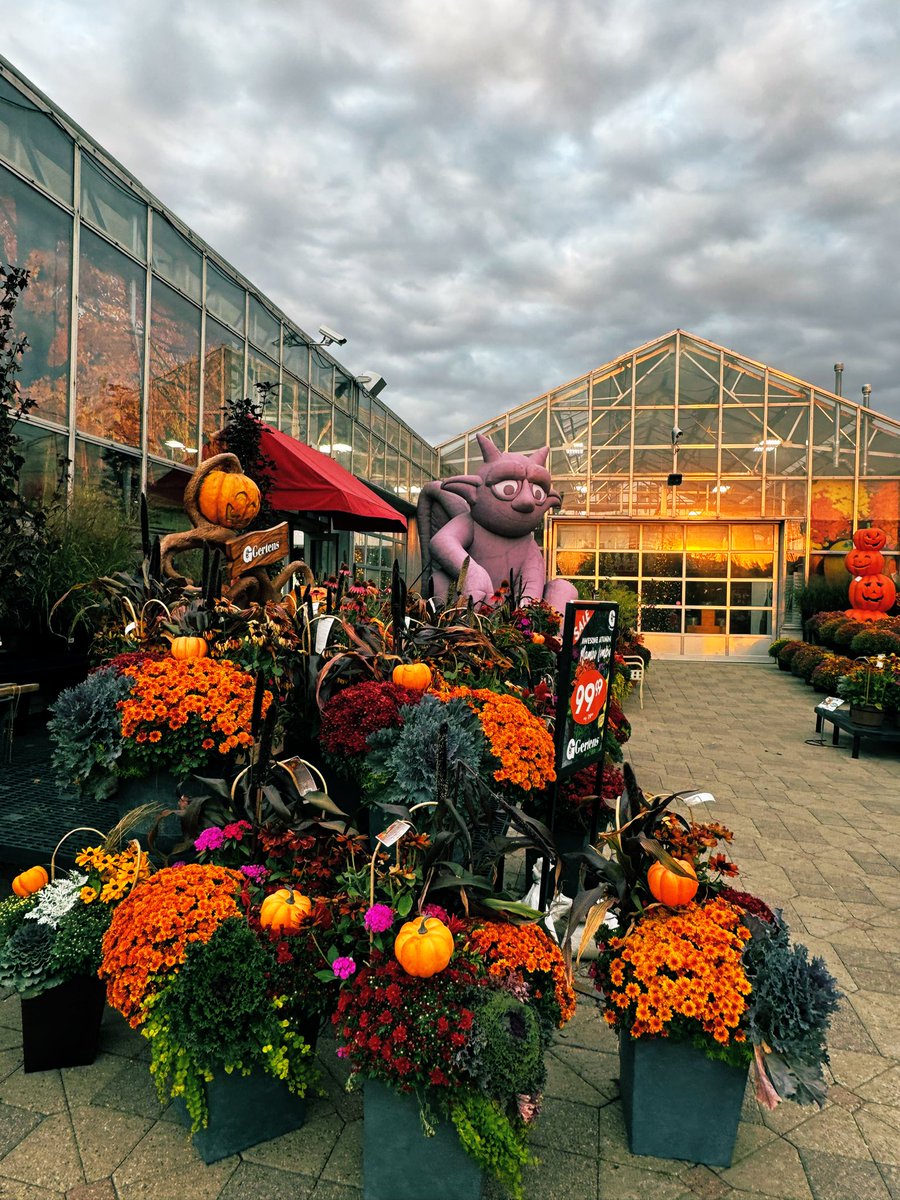 Pam McCurdy tweet media